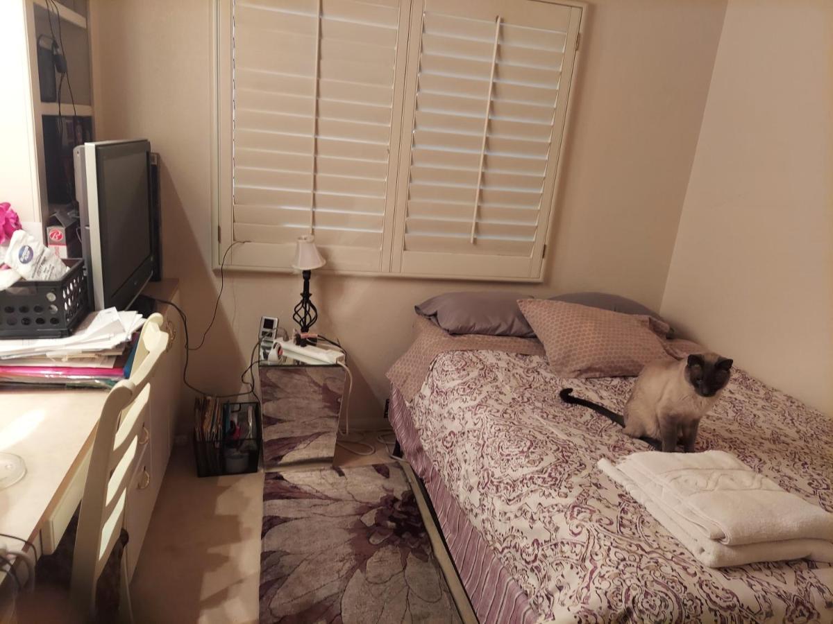 Catmosphere 2 Las Vegas Luaran gambar